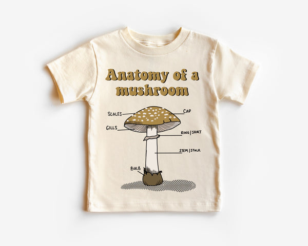 Anatomy Of A Mushroom PNG