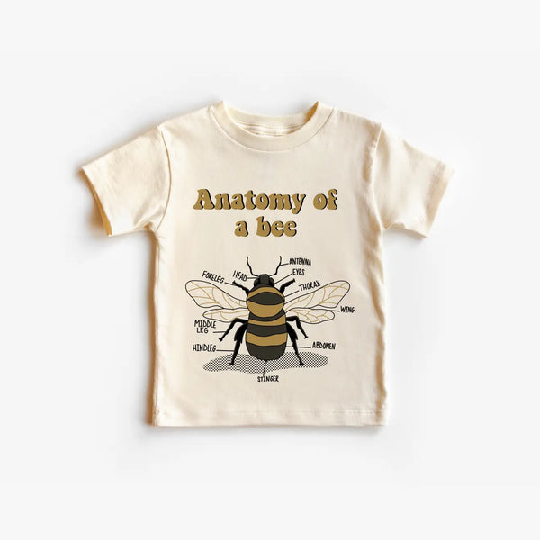 Anatomy of a Bee